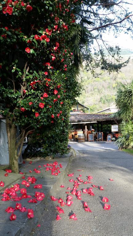 Villaggio Turistico Riviera Cannobio Exterior foto